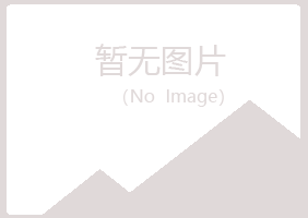 阳泉城女孩音乐有限公司